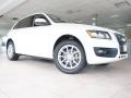 2009 Ibis White Audi Q5 3.2 Premium quattro  photo #10