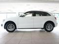 2009 Ibis White Audi Q5 3.2 Premium quattro  photo #13