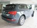 Meteor Gray Pearl Effect 2009 Audi Q5 3.2 Premium quattro Exterior