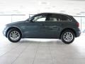 2009 Meteor Gray Pearl Effect Audi Q5 3.2 Premium quattro  photo #26