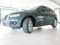 2009 Meteor Gray Pearl Effect Audi Q5 3.2 Premium quattro  photo #27