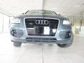 2009 Meteor Gray Pearl Effect Audi Q5 3.2 Premium quattro  photo #28