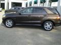 Dakota Brown Metallic - ML 350 4Matic Photo No. 2
