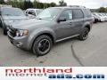 Sterling Gray Metallic - Escape XLT Sport AWD Photo No. 4