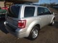 2010 Ingot Silver Metallic Ford Escape Limited V6  photo #4