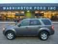 2011 Sterling Grey Metallic Ford Escape XLT 4WD  photo #1