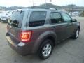 Sterling Grey Metallic - Escape XLT 4WD Photo No. 4