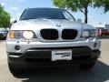 2003 Titanium Silver Metallic BMW X5 3.0i  photo #1