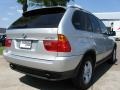 2003 Titanium Silver Metallic BMW X5 3.0i  photo #2