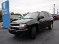 2007 Black Chevrolet TrailBlazer LS  photo #32