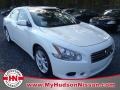 Winter Frost White - Maxima 3.5 SV Photo No. 1