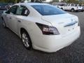 Winter Frost White - Maxima 3.5 SV Photo No. 3