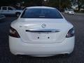 Winter Frost White - Maxima 3.5 SV Photo No. 4