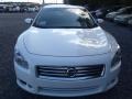 Winter Frost White - Maxima 3.5 SV Photo No. 5
