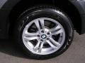 Silver Gray Metallic - X3 3.0i Photo No. 16