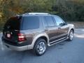 2006 Dark Stone Metallic Ford Explorer Eddie Bauer  photo #3