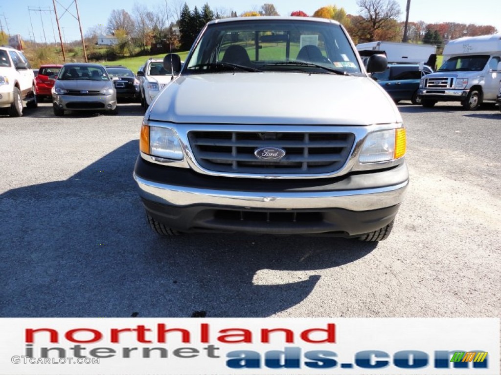 2004 F150 XL Heritage Regular Cab 4x4 - Silver Metallic / Dark Flint photo #3