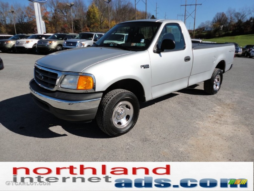 2004 F150 XL Heritage Regular Cab 4x4 - Silver Metallic / Dark Flint photo #4