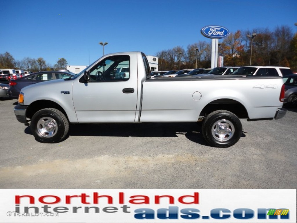 2004 F150 XL Heritage Regular Cab 4x4 - Silver Metallic / Dark Flint photo #5