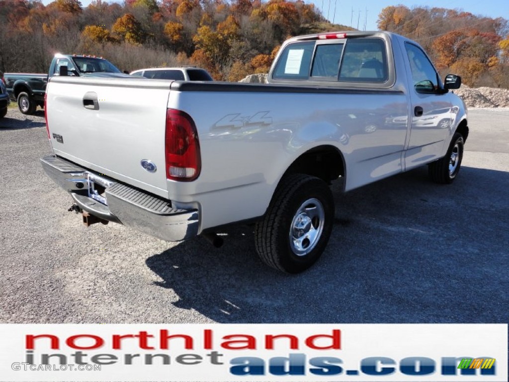2004 F150 XL Heritage Regular Cab 4x4 - Silver Metallic / Dark Flint photo #8