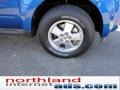 2012 Blue Flame Metallic Ford Escape XLT 4WD  photo #9