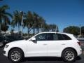 2009 Ibis White Audi Q5 3.2 Premium quattro  photo #12