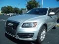 2009 Ice Silver Metallic Audi Q5 3.2 Premium quattro  photo #14