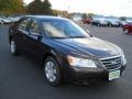 Natural Khaki Green - Sonata GLS Photo No. 11