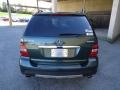 2008 Jade Green Metallic Mercedes-Benz ML 350 4Matic  photo #9