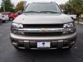 Graystone Metallic - TrailBlazer LS Photo No. 3