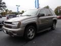 Graystone Metallic - TrailBlazer LS Photo No. 4