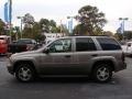 Graystone Metallic - TrailBlazer LS Photo No. 5