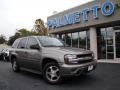 Graystone Metallic - TrailBlazer LS Photo No. 26