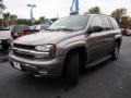 Graystone Metallic - TrailBlazer LS Photo No. 27