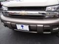 Graystone Metallic - TrailBlazer LS Photo No. 31