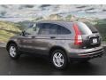 2010 Urban Titanium Metallic Honda CR-V EX AWD  photo #2
