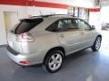 Millenium Silver Metallic - RX 330 Photo No. 4