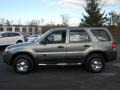 Titanium Green Metallic - Escape XLS 4WD Photo No. 2