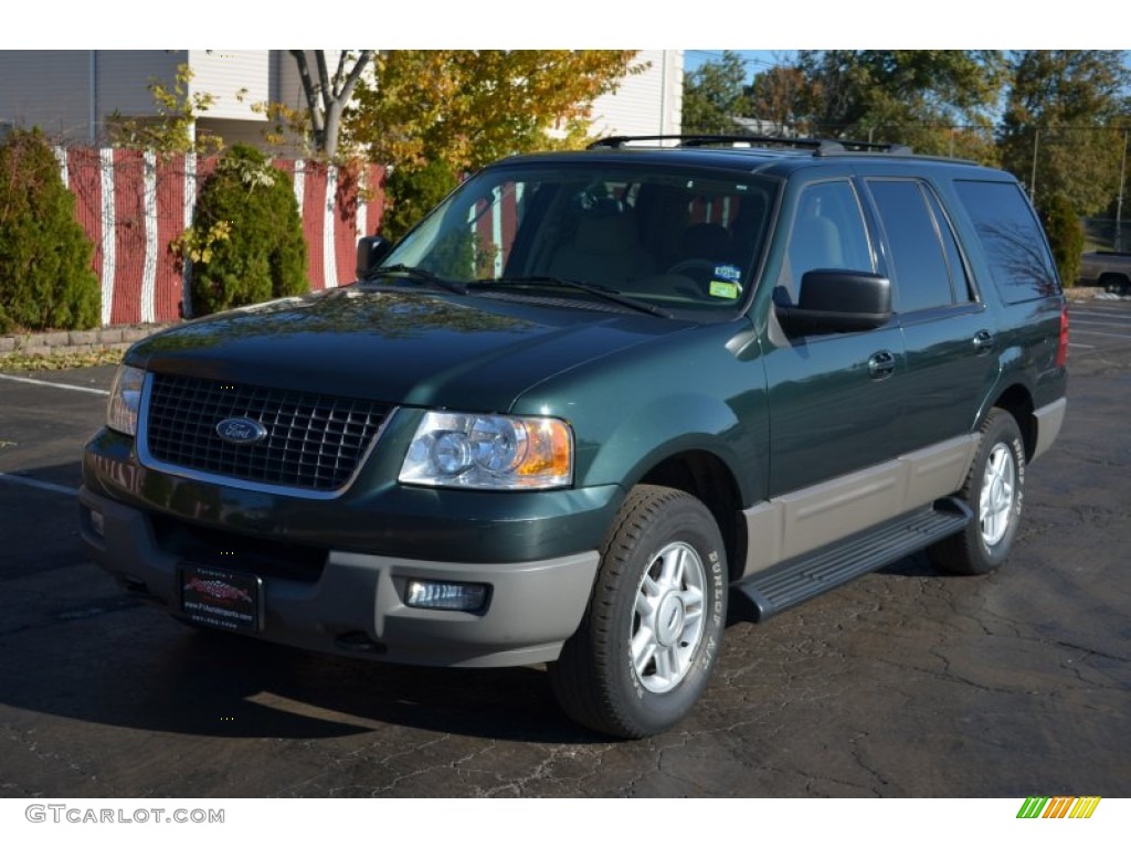 2003 Expedition XLT 4x4 - Aspen Green Metallic / Medium Parchment photo #1