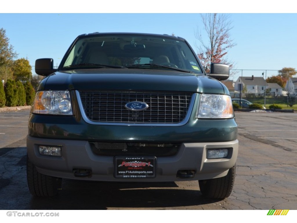 2003 Expedition XLT 4x4 - Aspen Green Metallic / Medium Parchment photo #2
