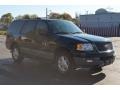 2003 Aspen Green Metallic Ford Expedition XLT 4x4  photo #3