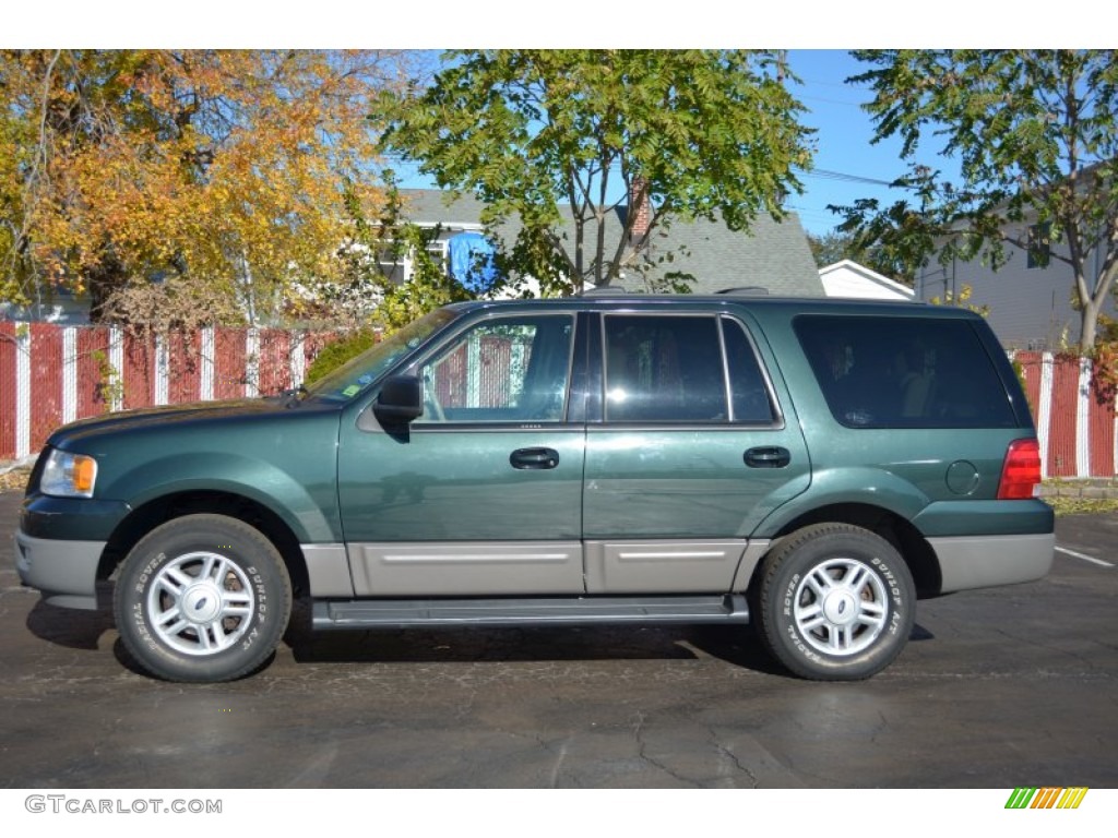 2003 Expedition XLT 4x4 - Aspen Green Metallic / Medium Parchment photo #4
