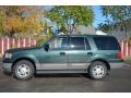 2003 Aspen Green Metallic Ford Expedition XLT 4x4  photo #4