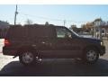 2003 Aspen Green Metallic Ford Expedition XLT 4x4  photo #5