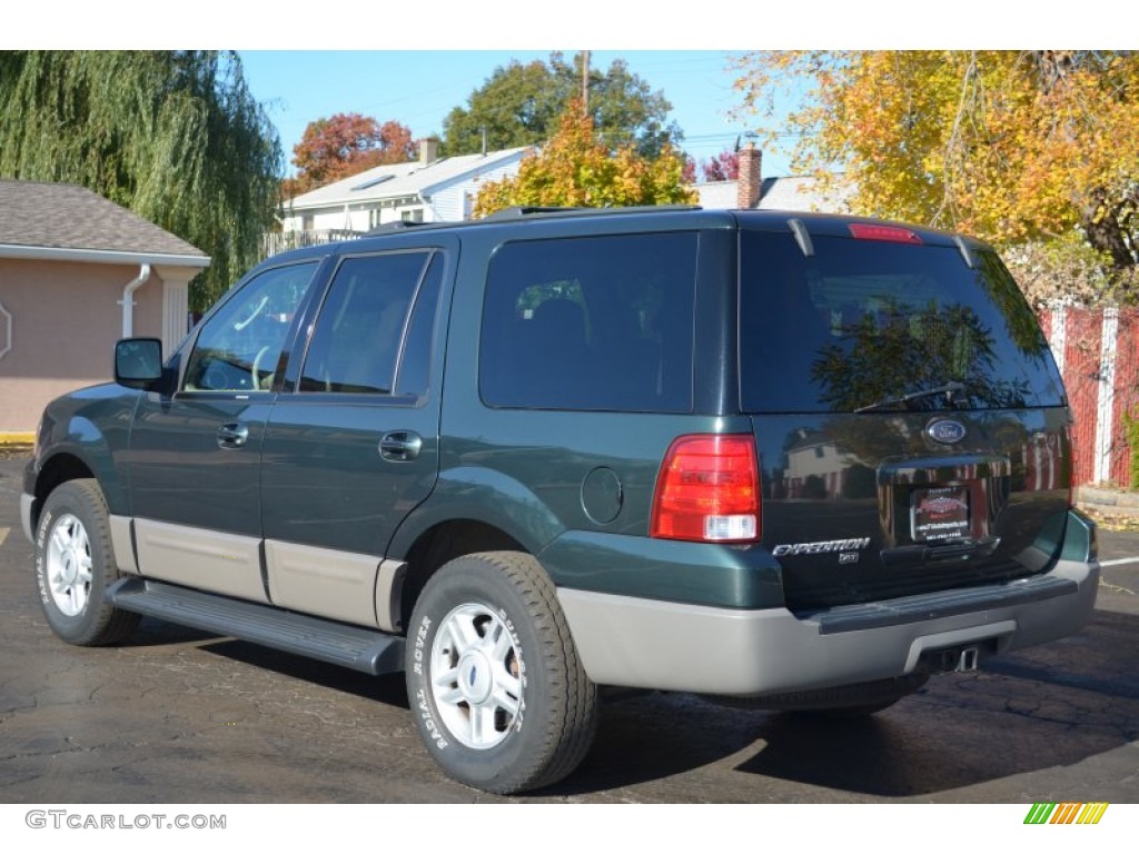 2003 Expedition XLT 4x4 - Aspen Green Metallic / Medium Parchment photo #6