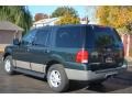 2003 Aspen Green Metallic Ford Expedition XLT 4x4  photo #6