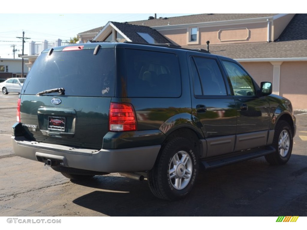 2003 Expedition XLT 4x4 - Aspen Green Metallic / Medium Parchment photo #8