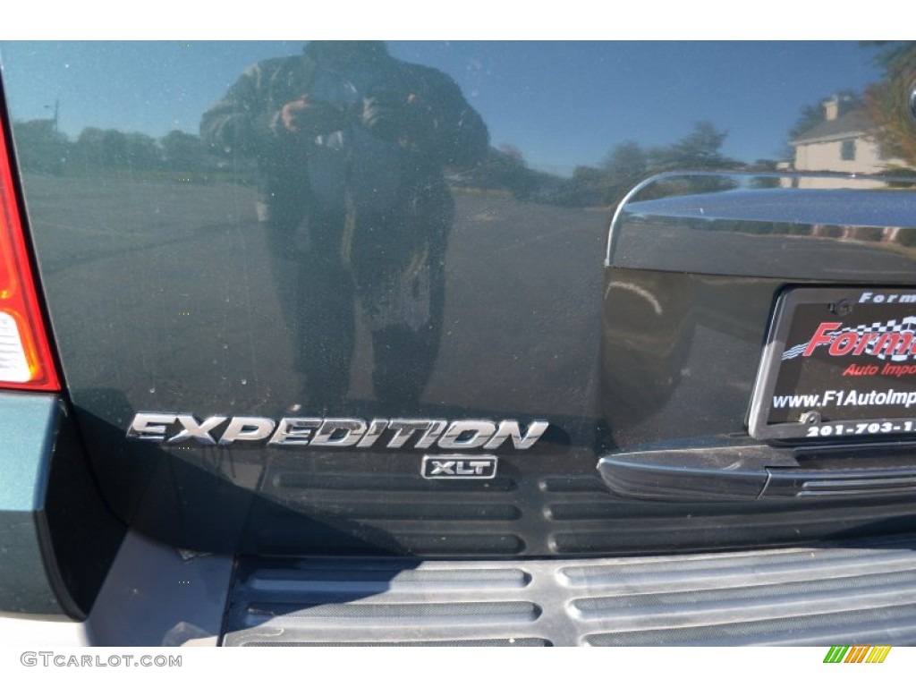 2003 Expedition XLT 4x4 - Aspen Green Metallic / Medium Parchment photo #27