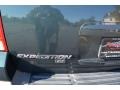2003 Aspen Green Metallic Ford Expedition XLT 4x4  photo #27