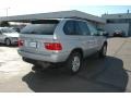 2006 Titanium Silver Metallic BMW X5 3.0i  photo #5